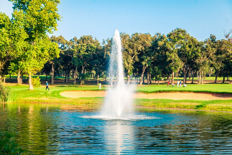 Expérience golfique