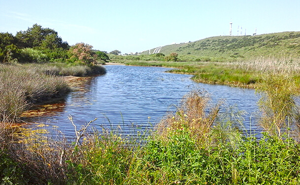 Sidi Boughaba