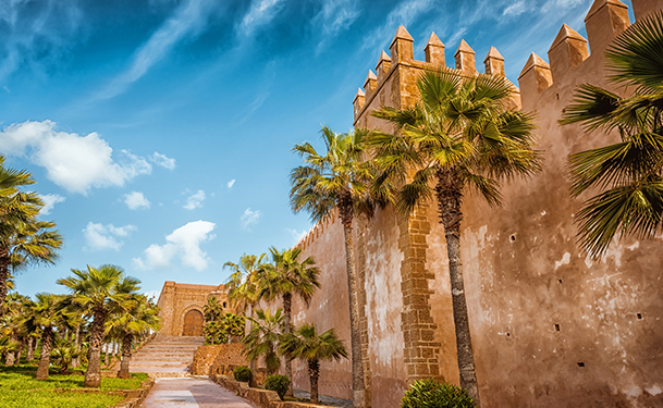 Bab Oudaya Gallery