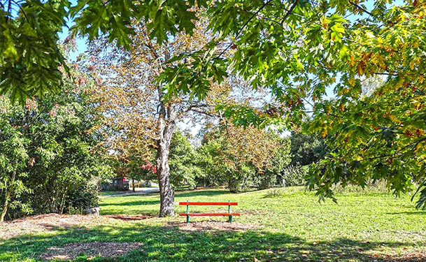 Jardin du Belvédère