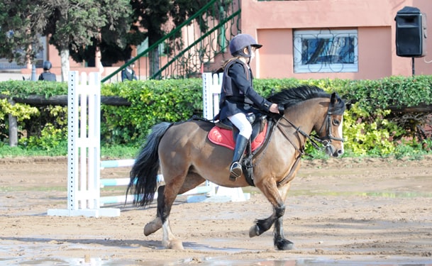 Pony Equestrian Club